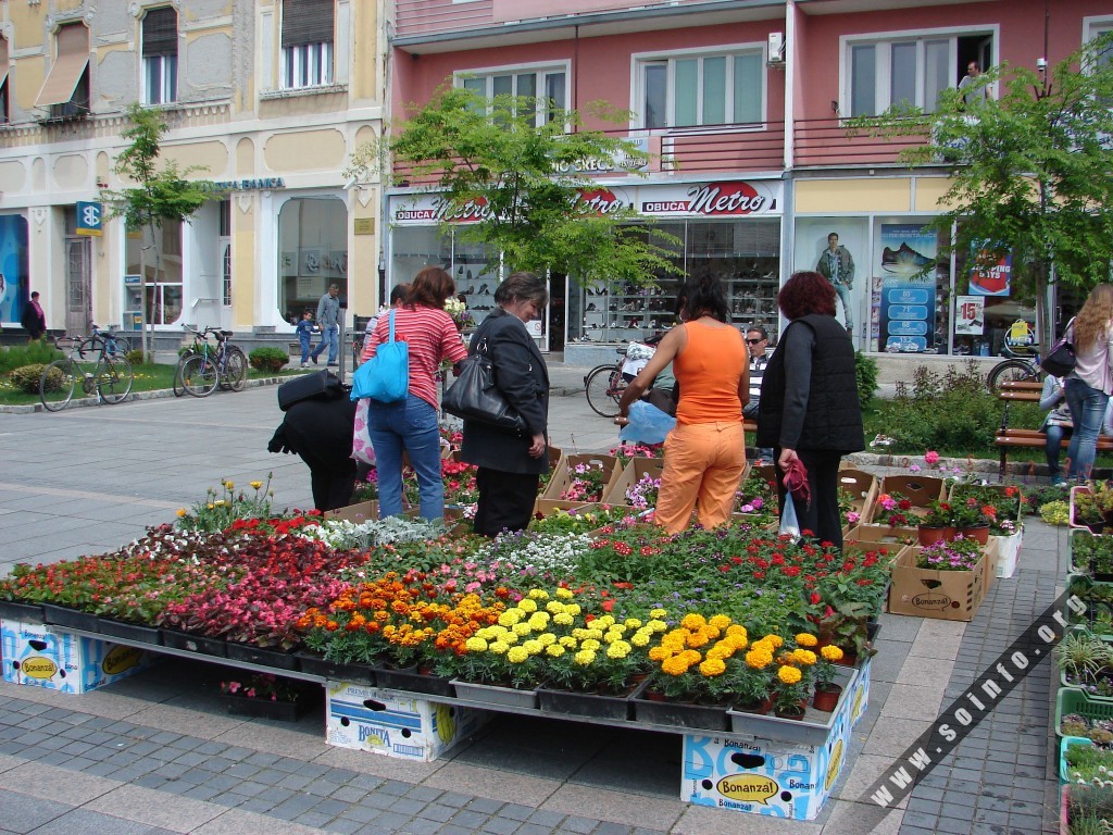 Image Two