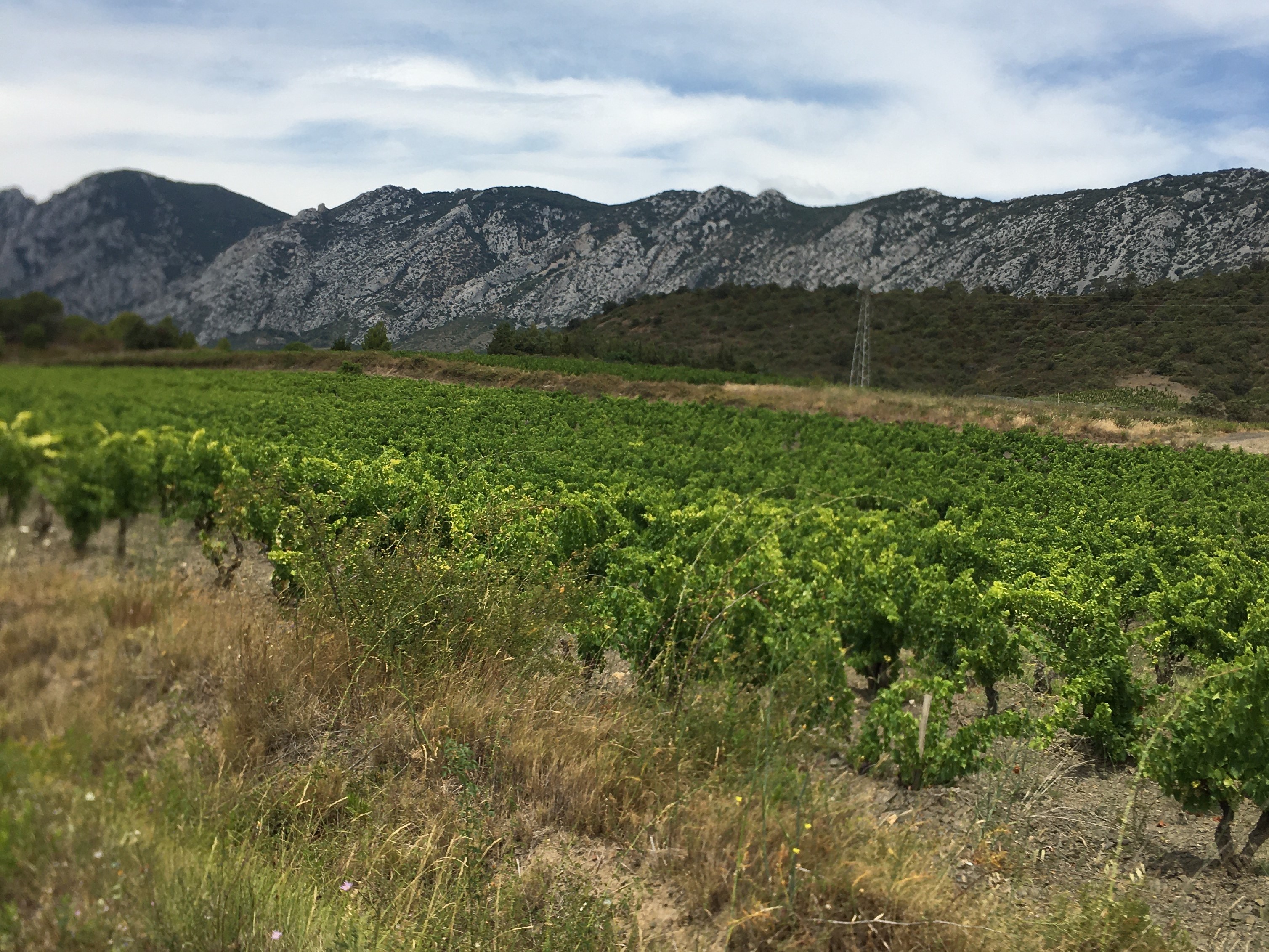 Roussillon